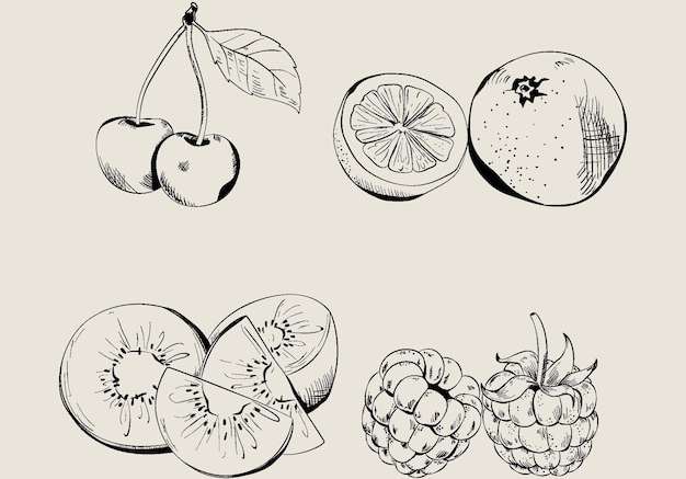 Hình ảnh vector Bộ sưu tập hoa quả khắc tay