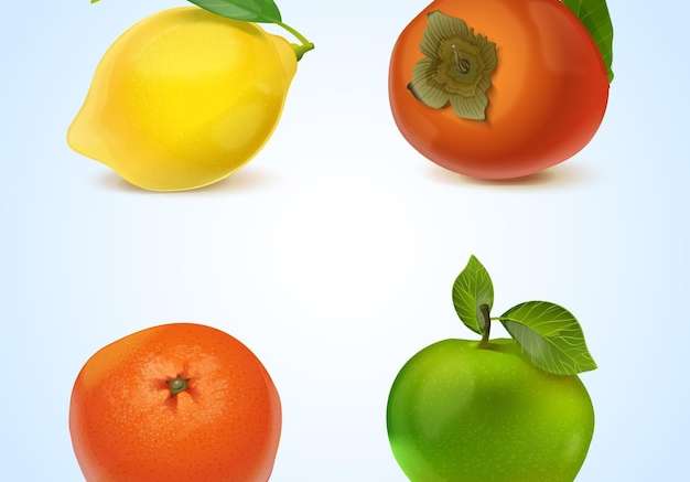 Hình ảnh vector bộ sưu tập trái cây thực tế