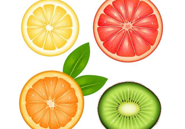 Hình ảnh vector Bộ trái cây cắt lát nhìn từ trên xuống chanh bưởi cam và kiwi