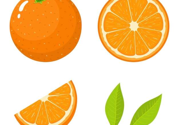 Hình ảnh vector Bộ trái cây tươi cắt nửa lát và lá cam bị cô lập trên nền trắng