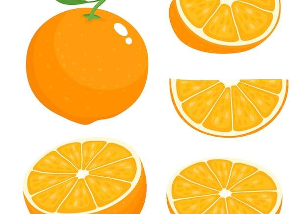 Hình ảnh vector Bộ vector sáng của một nửa đầy màu sắc, lát và phân đoạn màu cam ngon ngọt. phim hoạt hình cam tươi trên nền trắng.