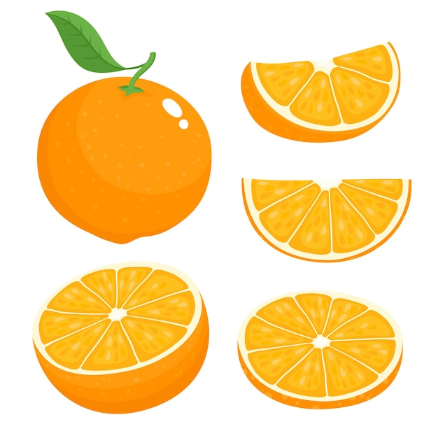 Hình ảnh vector Bộ vector sáng của một nửa đầy màu sắc, lát và phân đoạn màu cam ngon ngọt. phim hoạt hình cam tươi trên nền trắng.
