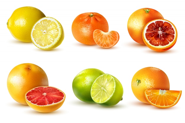 Hình ảnh vector Các loại trái cây họ cam quýt thực tế với chanh chanh cam bưởi quýt bị cô lập trên nền trắng