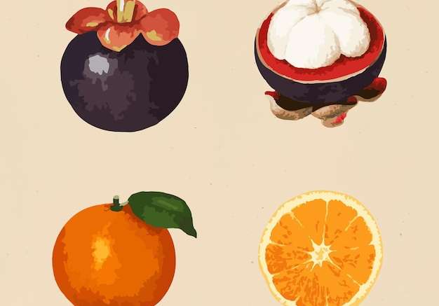 Hình ảnh vector Các yếu tố thiết kế bộ sưu tập nhãn dán trái cây nhiệt đới vectorized
