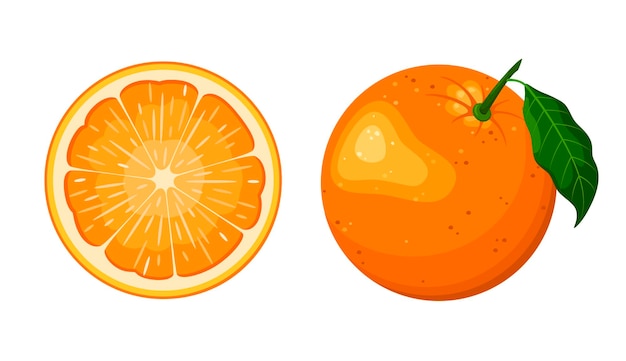 Hình ảnh vector cam chín trên nền trắng thiết kế phim hoạt hình trái cây