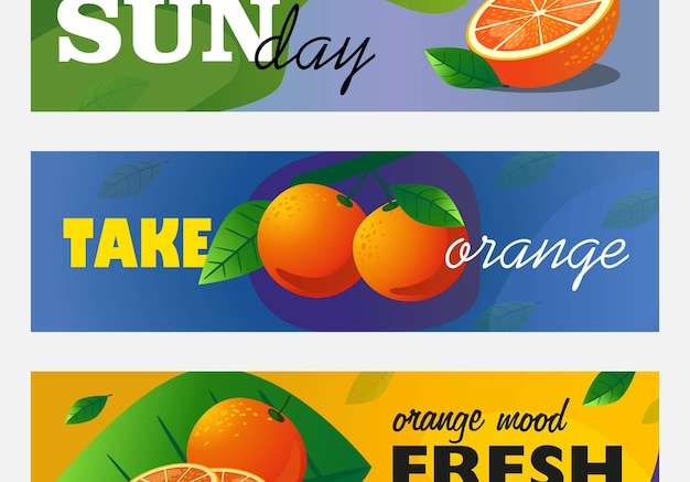 Hình ảnh vector Citrus biểu ngữ thiết lập. toàn bộ và cắt trái cam và lá minh họa véc tơ với văn bản. khái niệm thực phẩm và đồ uống cho tờ rơi thanh tươi và thiết kế tài liệu quảng cáo