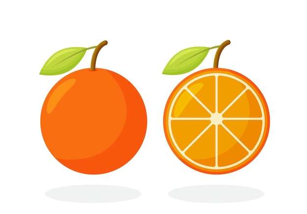 Hình ảnh vector Đặt quả cam nửa quả cam nguyên quả bị cô lập trên nền trắng