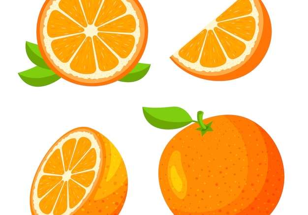 Hình ảnh vector Đặt toàn bộ, một nửa, cắt lát trái cây cam tươi bị cô lập trên nền trắng. quýt và lá. biểu tượng thực phẩm thuần chay theo phong cách hoạt hình hợp thời trang. khái niệm thực phẩm lành mạnh.