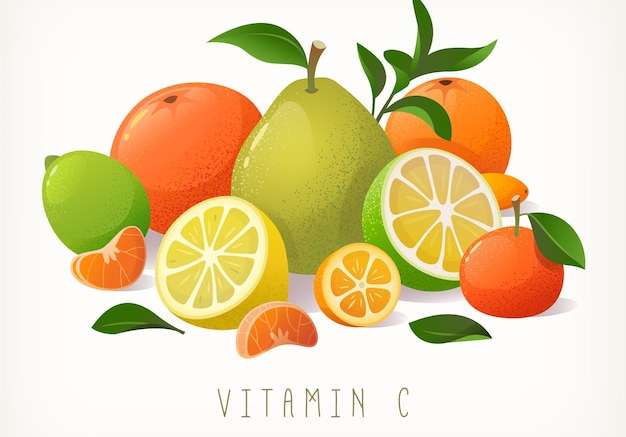 Hình ảnh vector Đống trái cây họ cam quýt khác nhau có chứa vitamin c bưởi cam chanh chanh quýt vector