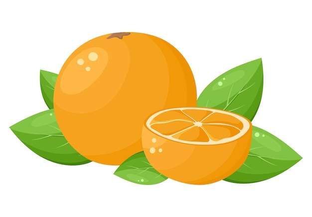 Hình ảnh vector Màu cam sáng với biểu tượng tán lá trái cây thực phẩm có múi tươi chín đầy màu sắc minh họa vector