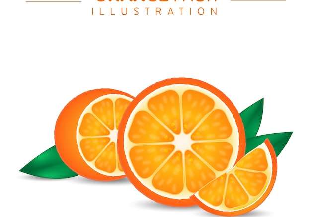 Hình ảnh vector minh họa quả cam
