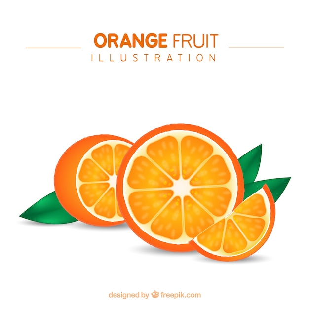 Hình ảnh vector minh họa quả cam