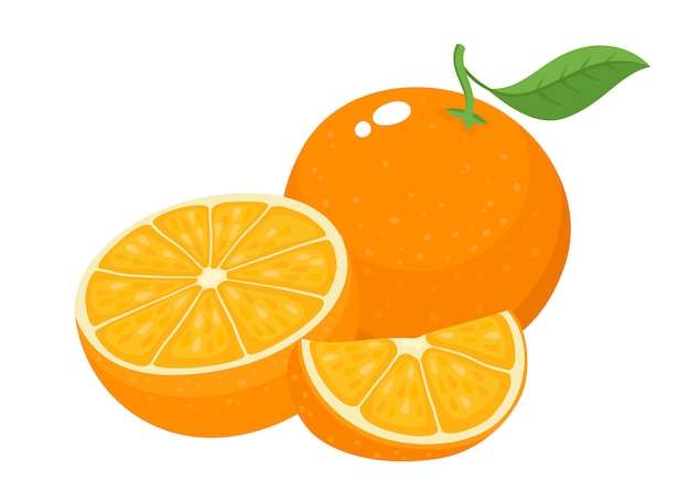 Hình ảnh vector Minh họa vector tươi sáng của trái cây họ cam quýt hữu cơ đầy màu sắc ngon ngọt bị cô lập