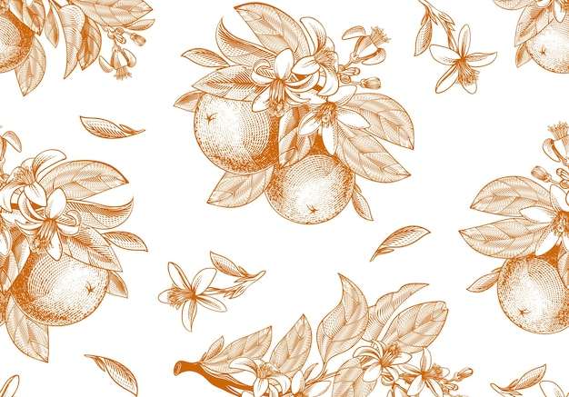 Hình ảnh vector Mô hình liền mạch của quả cam, lá, cành và hoa nở theo phong cách khắc