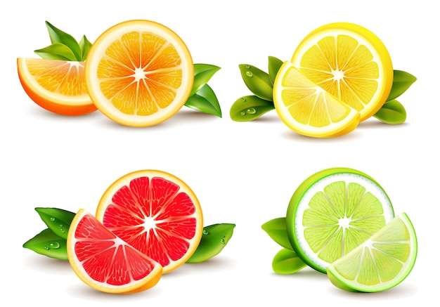 Hình ảnh vector Một nửa trái cây có múi và một phần tư nêm 4 biểu tượng thực tế hình vuông với bưởi cam chanh cô lập