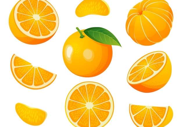 Hình ảnh vector Tập hợp một nửa quả cam tươi và cắt lát minh họa bị cô lập trên nền trắng
