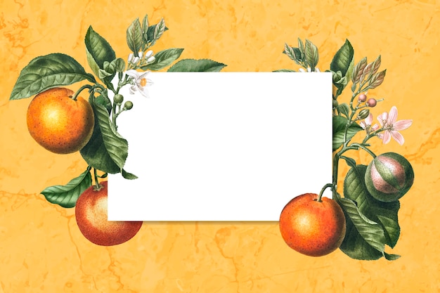 Hình ảnh vector Thiệp đóng khung màu cam