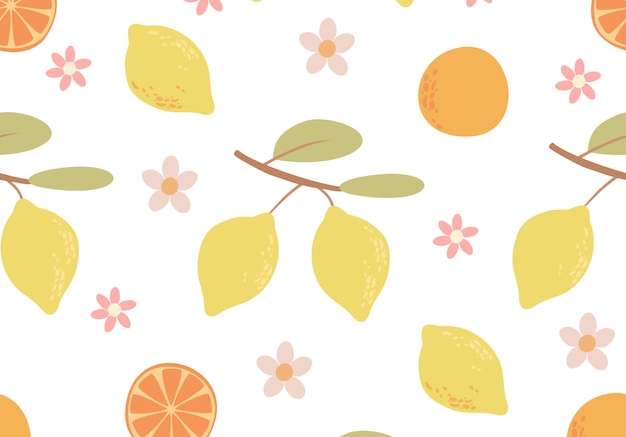 Hình ảnh vector Vẽ tay mô hình trái cây họ cam quýt