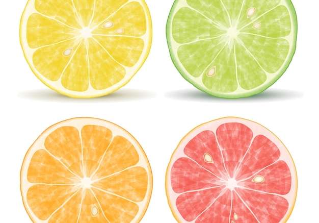 Hình ảnh vector Vector trái cây có múi: cam, chanh, bưởi và chanh