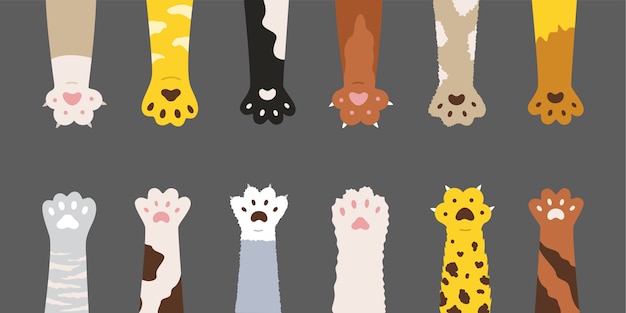 Hình vector Bộ bàn chân mèo bông nhiều màu