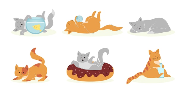Hình vector Bộ mèo xám và cam tinh nghịch