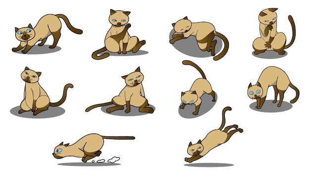 Hình vector Bộ minh họa vector mèo xiêm