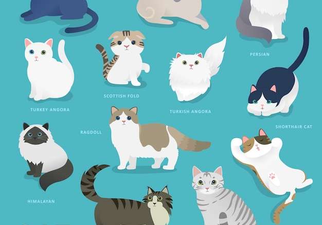 Hình vector bộ sưu tập giống mèo đáng yêu theo phong cách phẳng