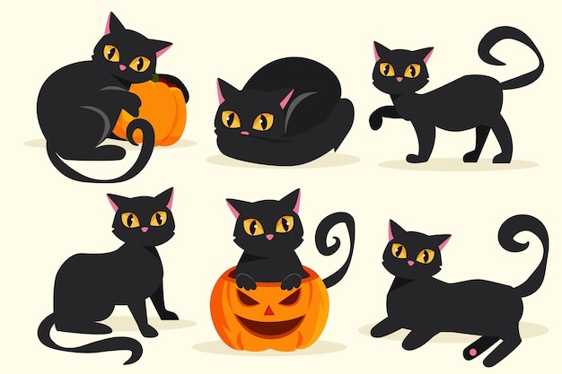 Hình vector Bộ sưu tập mèo đen halloween phẳng
