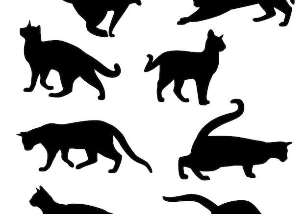 Hình vector Hình bóng con mèo minh họa các vector