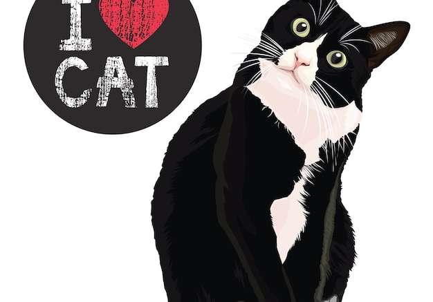 Hình vector tôi yêu con mèo