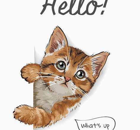 Hình vector Xin chào khẩu hiệu với hình minh họa chú mèo dễ thương bước ra từ giấy