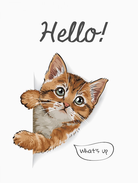 Hình vector Xin chào khẩu hiệu với hình minh họa chú mèo dễ thương bước ra từ giấy