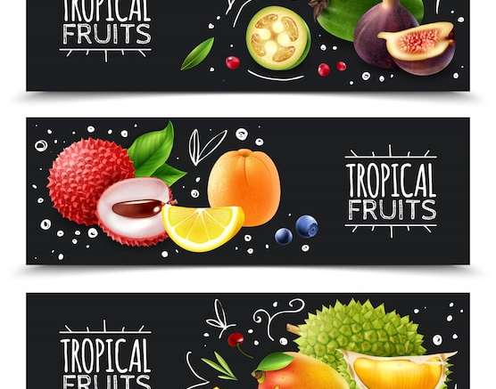 Hình ảnh vector Biểu ngữ ngang trái cây nhiệt đới