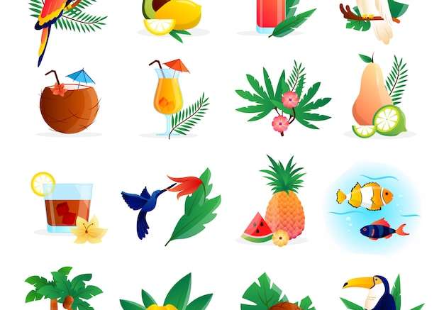 Hình ảnh vector Bộ biểu tượng nhiệt đới với cocktail hoa trái cây và chim