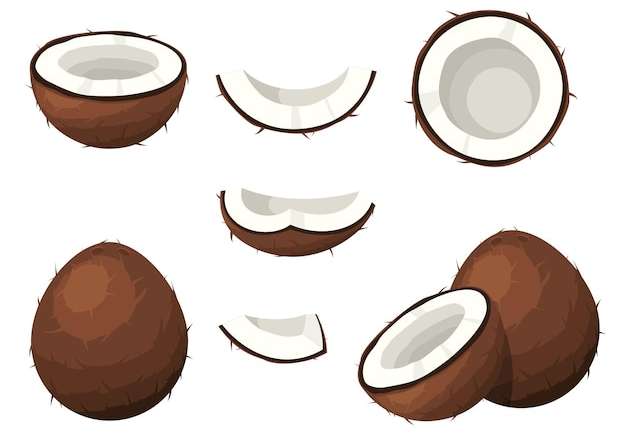 Hình ảnh vector Bộ quả dừa màu nâu với các đoạn hạt cắt nửa miếng thực phẩm nhiệt đới sản phẩm hữu cơ tự nhiên