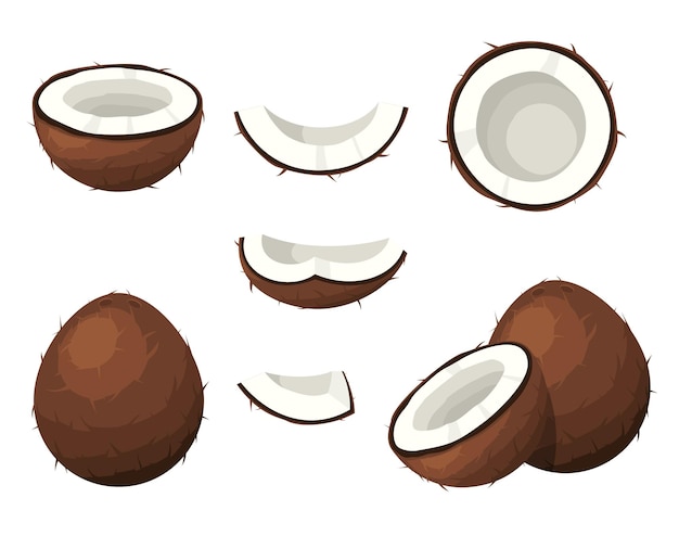 Hình ảnh vector Bộ quả dừa màu nâu với các đoạn hạt cắt nửa miếng thực phẩm nhiệt đới sản phẩm hữu cơ tự nhiên