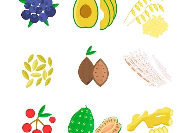 Hình ảnh vector Bộ sưu tập siêu thực phẩm thiết kế vẽ tay