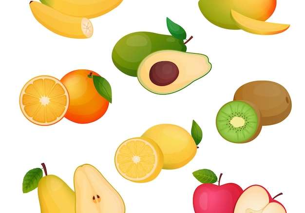 Hình ảnh vector Bộ sưu tập trái cây chi tiết