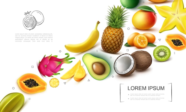 Hình ảnh vector Bộ sưu tập trái cây kỳ lạ thực tế với khế đu đủ thanh long xoài kiwi chuối dứa dừa quất bơ