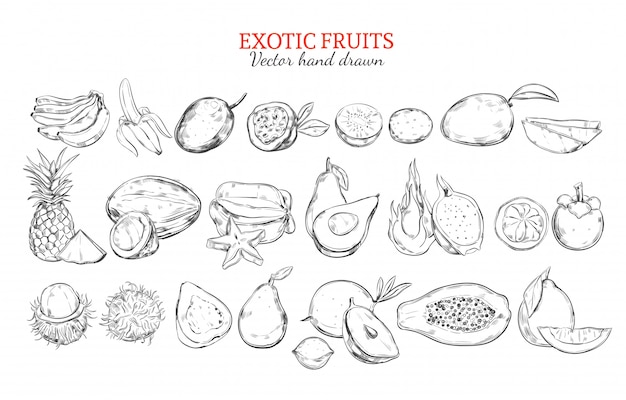Hình ảnh vector Bộ sưu tập trái cây nhiệt đới và kỳ lạ đơn sắc