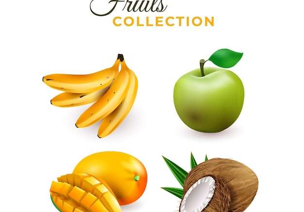 Hình ảnh vector bộ sưu tập trái cây thực tế