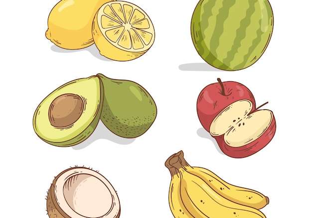 Hình ảnh vector bộ sưu tập trái cây vẽ tay