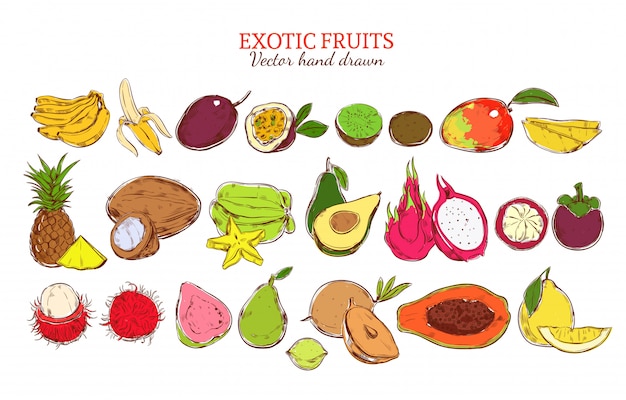 Hình ảnh vector Bộ trái cây kỳ lạ tươi tự nhiên đầy màu sắc