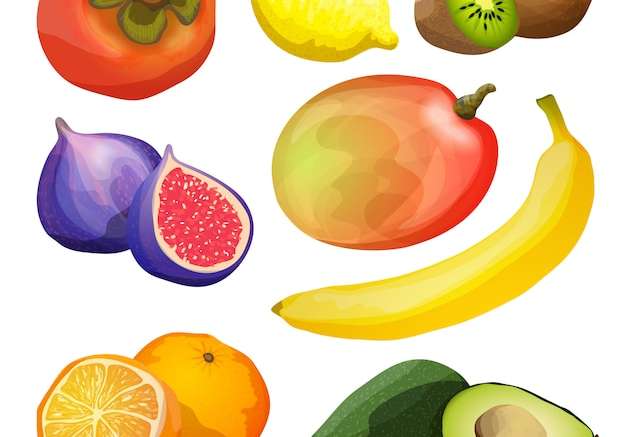 Hình ảnh vector Bộ trái cây lạ