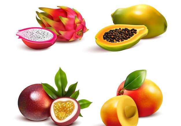 Hình ảnh vector Bộ trái cây nhiệt đới trưởng thành