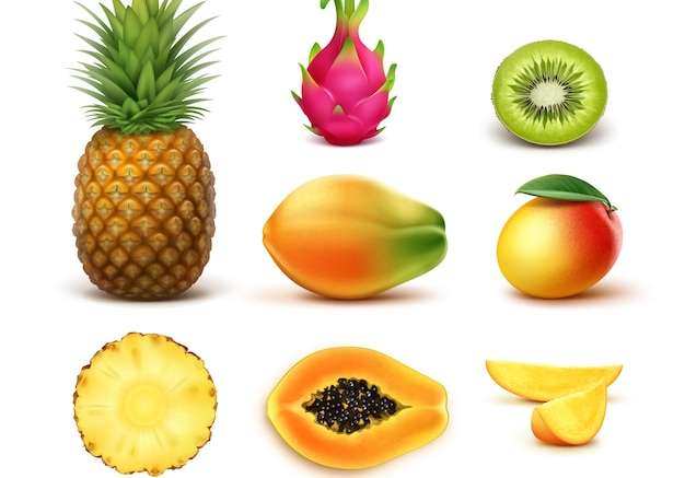Hình ảnh vector Bộ vector trái cây nhiệt đới cắt nửa quả dứa, kiwi, xoài, đu đủ, thanh long được phân lập trên nền trắng
