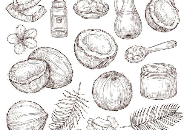 Hình ảnh vector Dừa vẽ tay. bản phác thảo mùa hè, bãi biển cọ hoa kỳ lạ. dầu dừa thô hữu cơ và mỹ phẩm vẽ lá nhiệt đới bộ vector chính xác