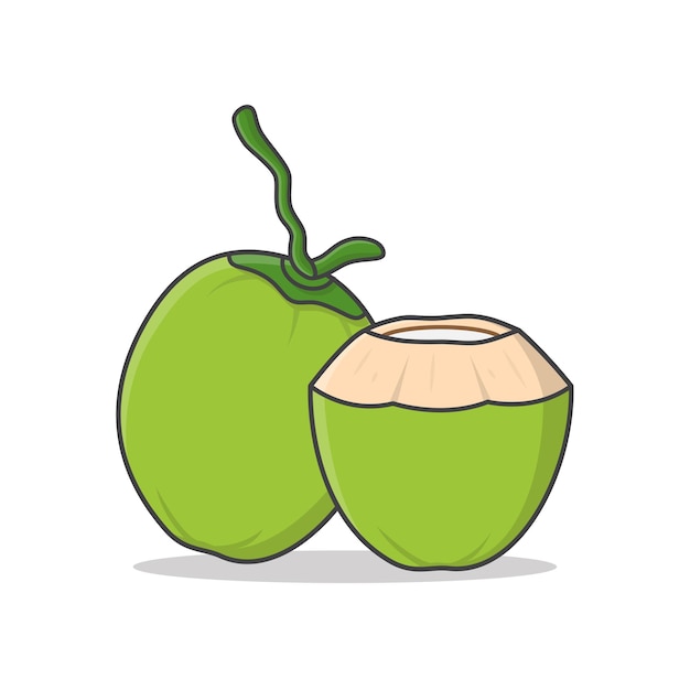 Hình ảnh vector Dừa xanh nguyên quả và hình minh họa dừa uống tươi. dừa xiêm xanh