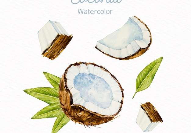 Hình ảnh vector Nền màu nước dừa