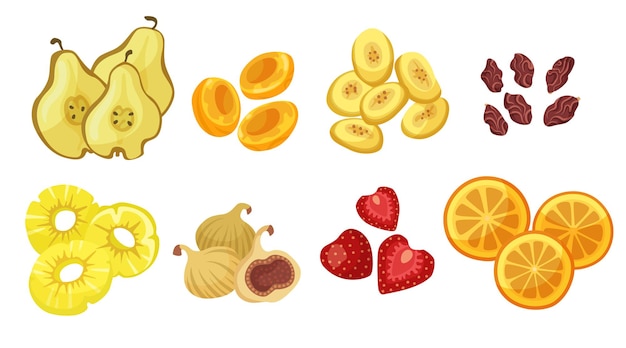 Hình ảnh vector Nhiều loại trái cây khô minh họa phim hoạt hình thiết lập. sung khô, mơ, lê, dứa, táo, cam, dâu tây, nho khô và mận khô bị cô lập trên nền trắng. trái cây nhiệt đới, khái niệm thực phẩm